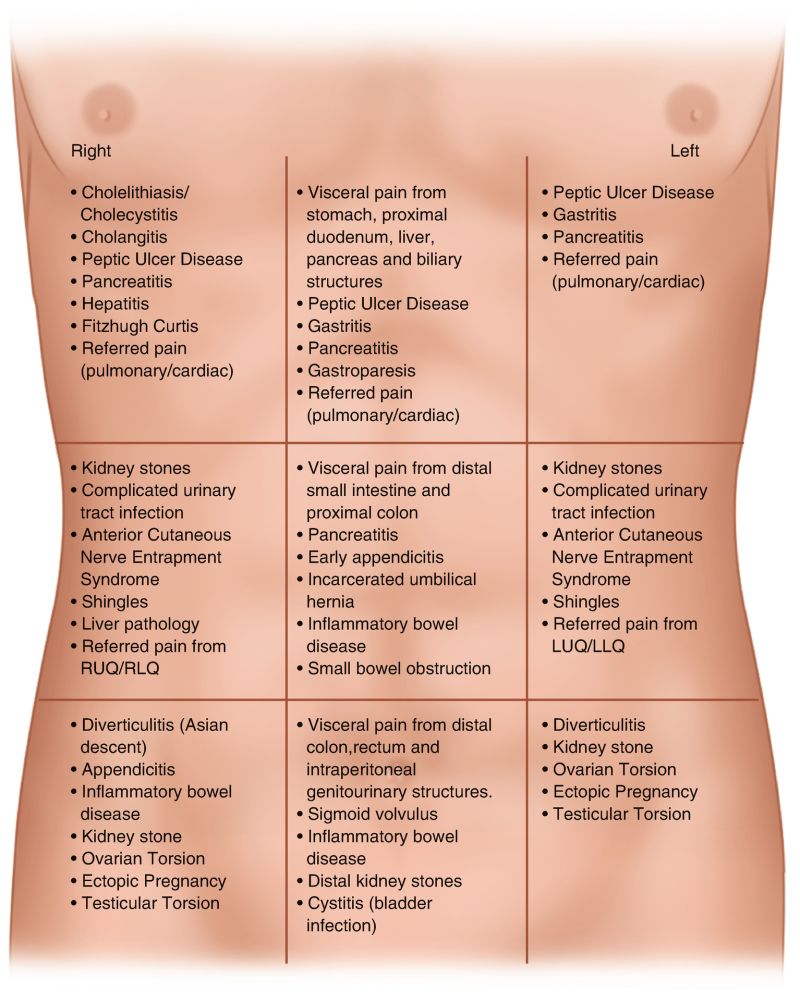Evaluation of Acute Abdominal Pain in Adults